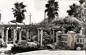 HAMMAM BOU HADJAR 528- JARDINS COLLECTION DES AMIS DE ND DE SANTA CRUZ
